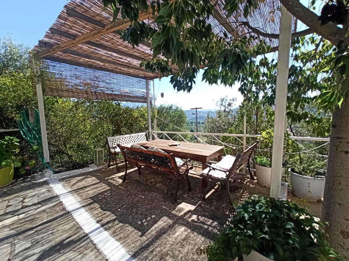 Heras Garden Vasiliki  Ngoại thất bức ảnh
